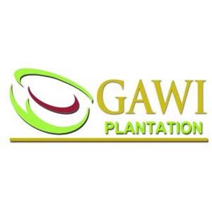 Gawi Plantation